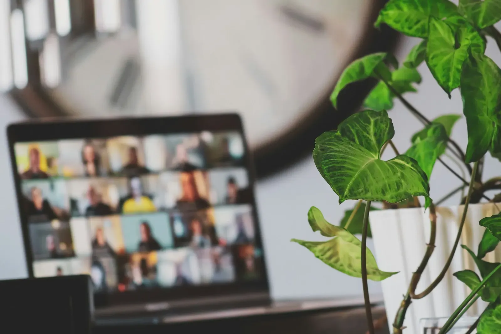 Laptop showing a video call beside a plant